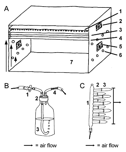 Малюнок 1: Схема експериментальної коробки і системи стисненого повітря з дріжджами