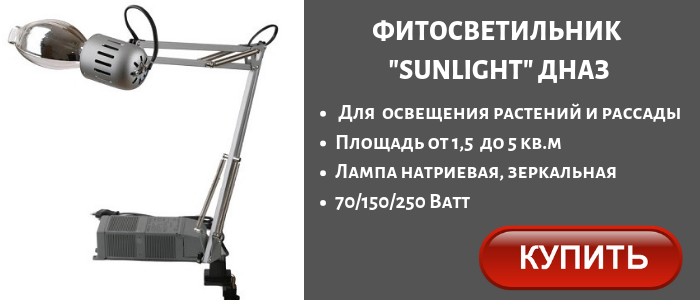 Тип виділяється лампою світлового випромінювання знищує бактерії і непомітні оку грибки