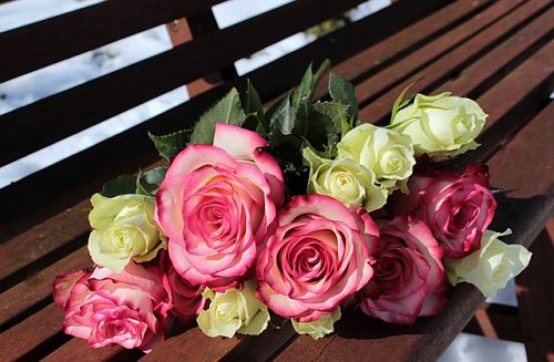 Щоб укоренити троянду з букета в домашніх умовах, важливо пам'ятати: хорошим результатом вважається укорінення 30% живців в зимовий час і 70% навесні