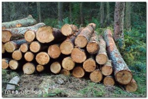Проста дерев'яна альтанка буде не тільки екологічною, а й вдало впишеться в ландшафт дачі, не порушуючи гармонії з природою