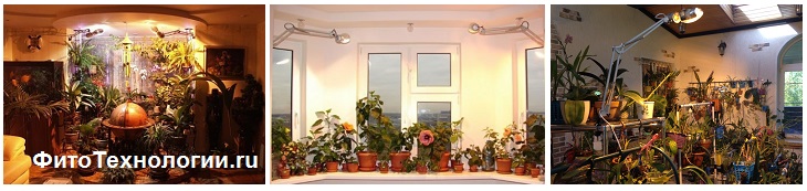 Випромінюване світіння безпечно для очей людини і використовується лампа для рослин в будь-якій кімнаті або приміщенні, в даному випадку це мінус світлодіодних фітоламп і люмінесцентних ламп для рослин і фітосветільніков в загальному